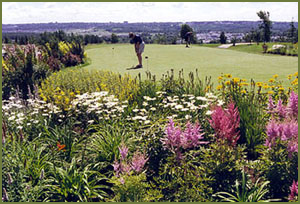 Golf albatros