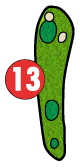 13