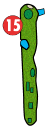 Trou #15
